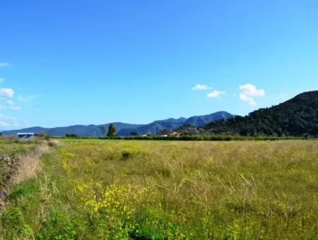 Bauernhof Zum Verkauf Schnäppchen In Dalyan