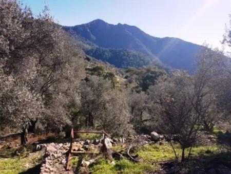 Meerblick Land Zum Verkauf In Göcek Gökçeovacık