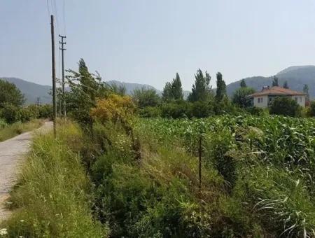 3000 M2 Grundstück Geeignet Für Investitionen Zum Verkauf In Mugla Ortaca Bogenschützen