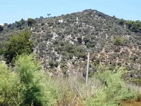 Grundstück Mit Meerblick Zum Verkauf In Mugla Dalaman Kapıkargın