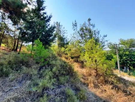 Grundstück Mit Meerblick Zum Verkauf In Fethiye Ciftlikkoy