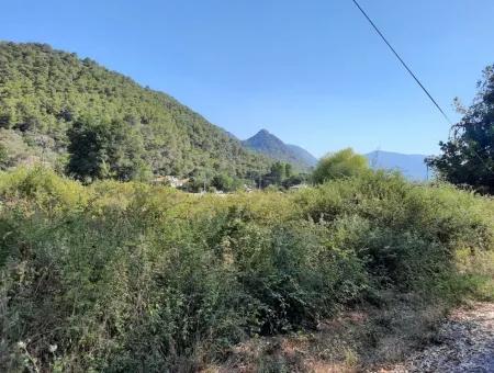 Weinberg Garten Zoning Land Zu Verkaufen In Gocek Inlice