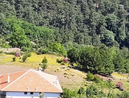 Köycegiz Yayla, Agla Dorf Zum Verkauf Freistehendes Land Geeignet Für Investitionen Mit Seeblick