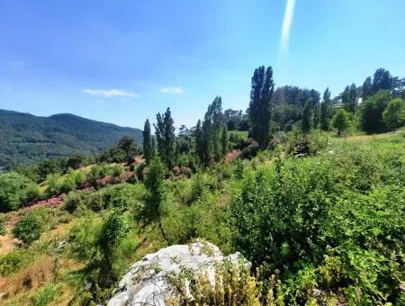 Köycegiz Yayla, Agla Dorf Zum Verkauf Freistehendes Land Geeignet Für Investitionen Mit Seeblick