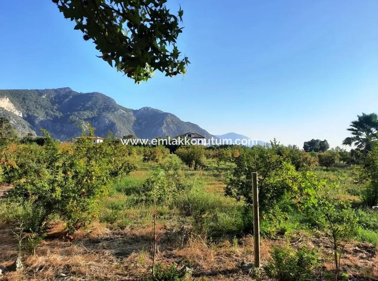 Land Suitable For Investment For Sale In Mugla Dalyan Marmarlı