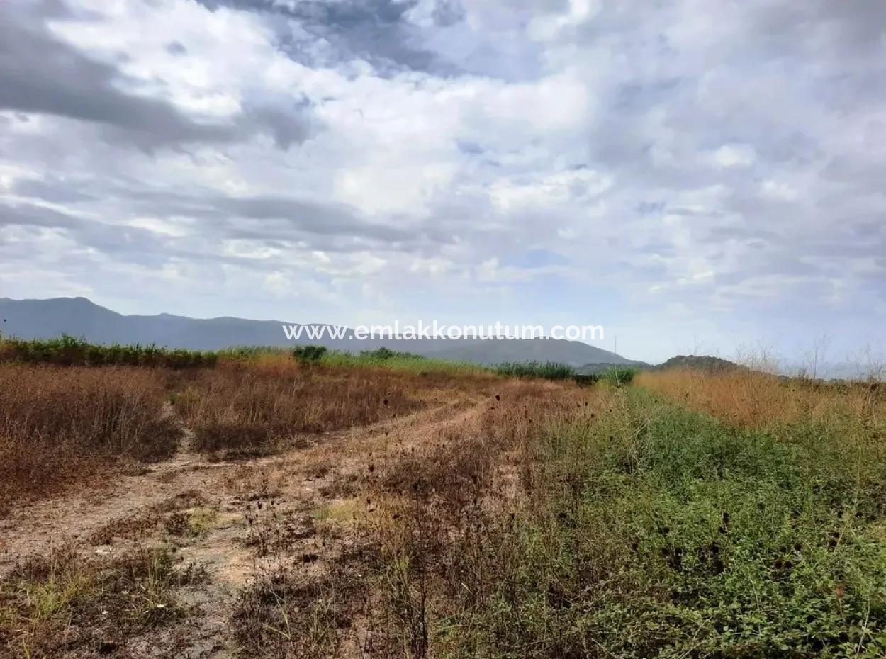 Fertile Land For Sale In Ortaca Eskiköy