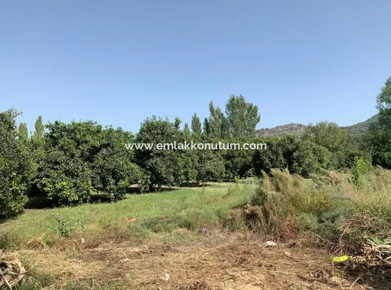 Dalaman Karacali 622 M2 30% Zoning Land For Sale