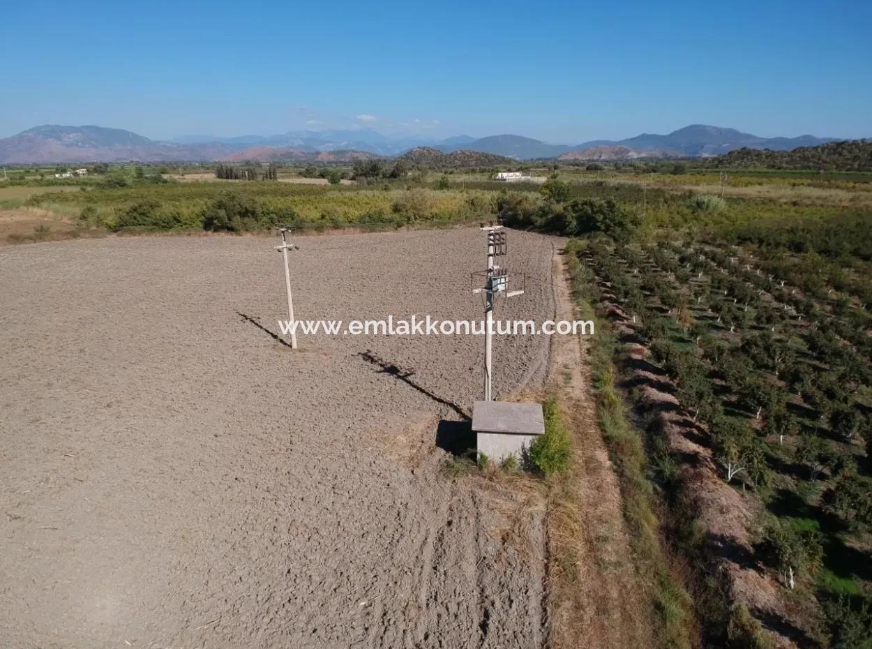 Detached Fertile Bargain Land For Sale In Ortaca Mergenli