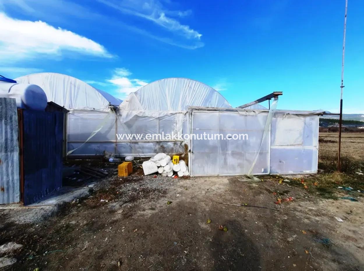 Denizli Çameli Yumrutaş Detached 4 000 M2 Greenhouse For Sale