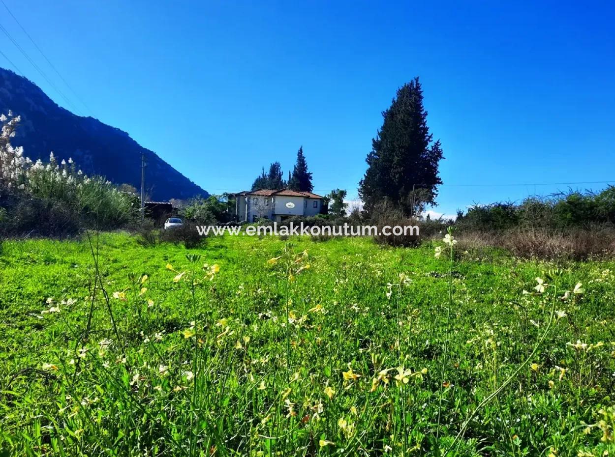 Mugla Ortaca Dalyan Is Also Fertile Land Suitable For 9 300 M2 Investment With Road Facades For Sale