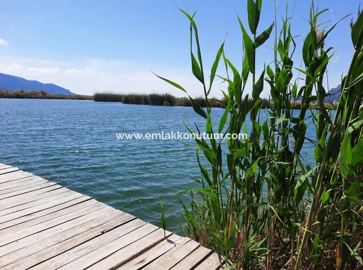 Mugla Dalyan Pomegranate Garden Suitable For Zero Investment In The Canal For Sale