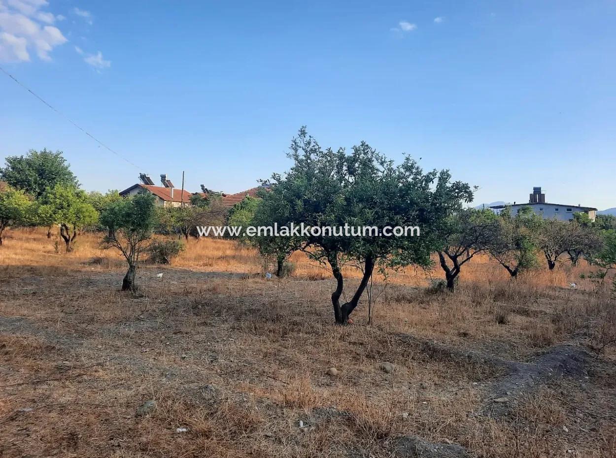 1080 M2 Zoning Land For Sale In Köyceğiz Toparlar