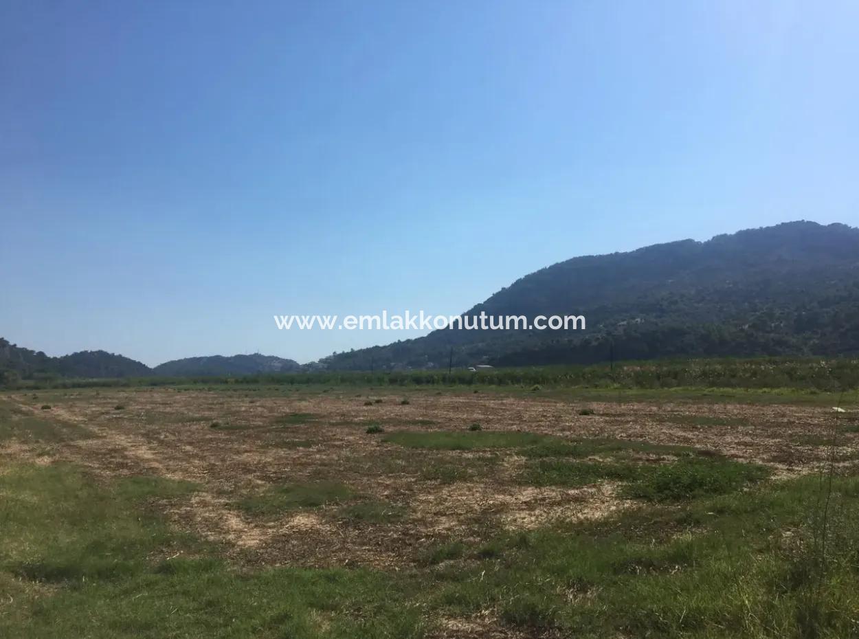 For Sale Land Guzelyurt Ta Oriya, Bargain 9726 M2