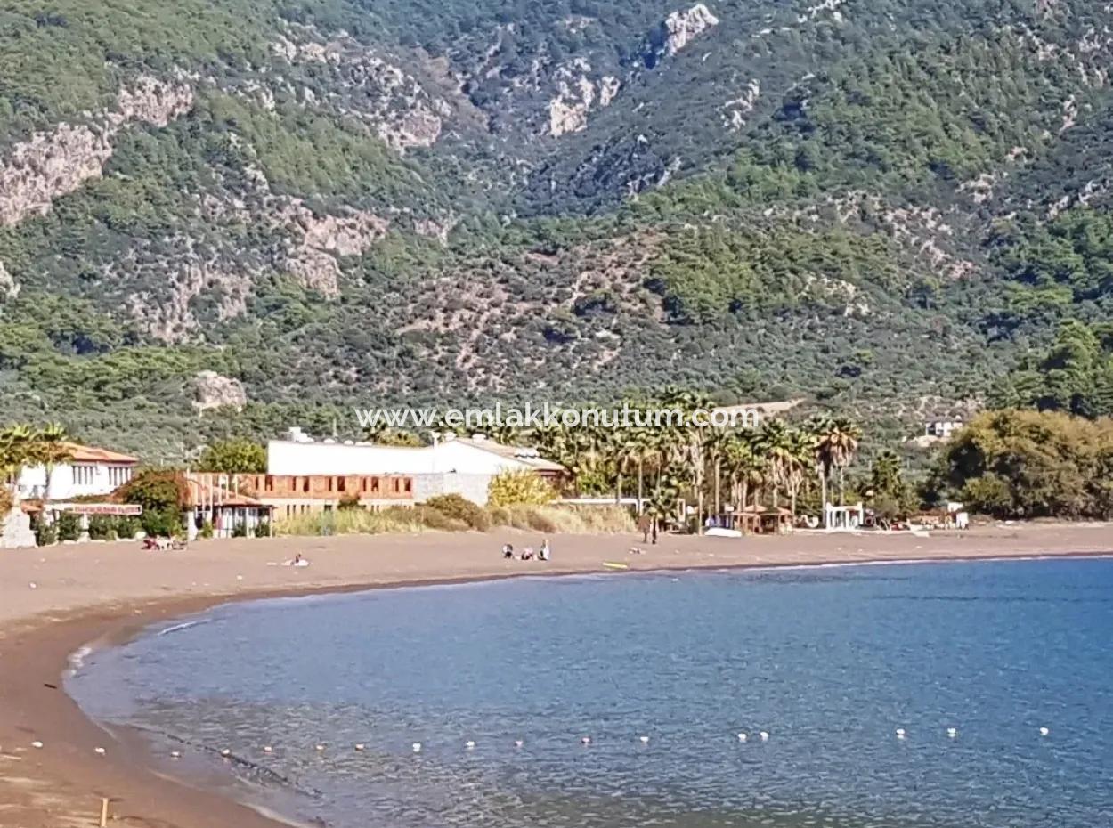 Olive Grove With Sea Views For Sale In Köyceğiz Ekincik