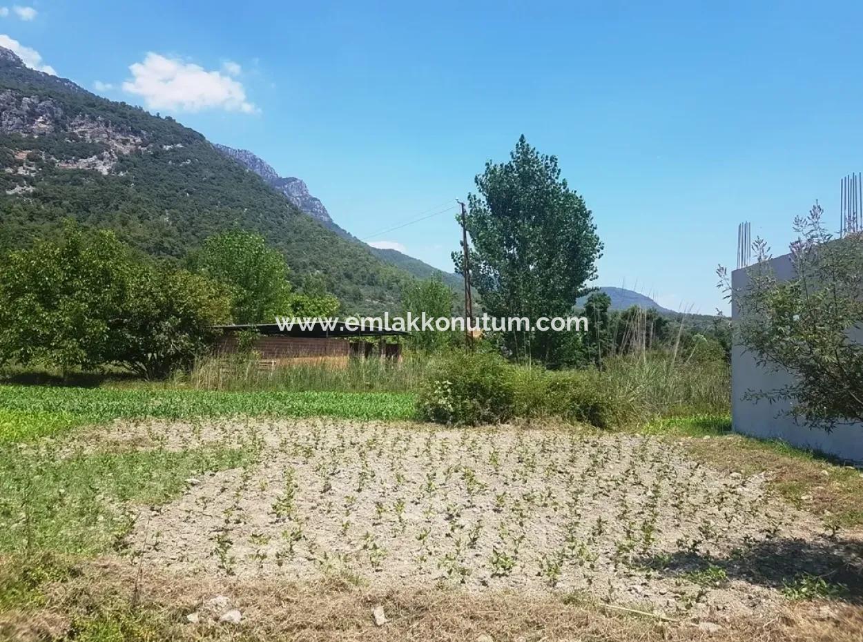 3700 M2 Land For Sale In Koycegiz