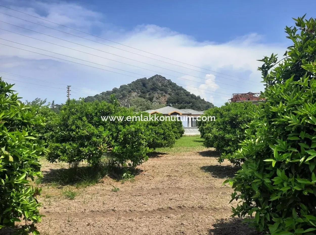 722 M2 Zoned Detached Land For Sale In Dalyan, Muğla