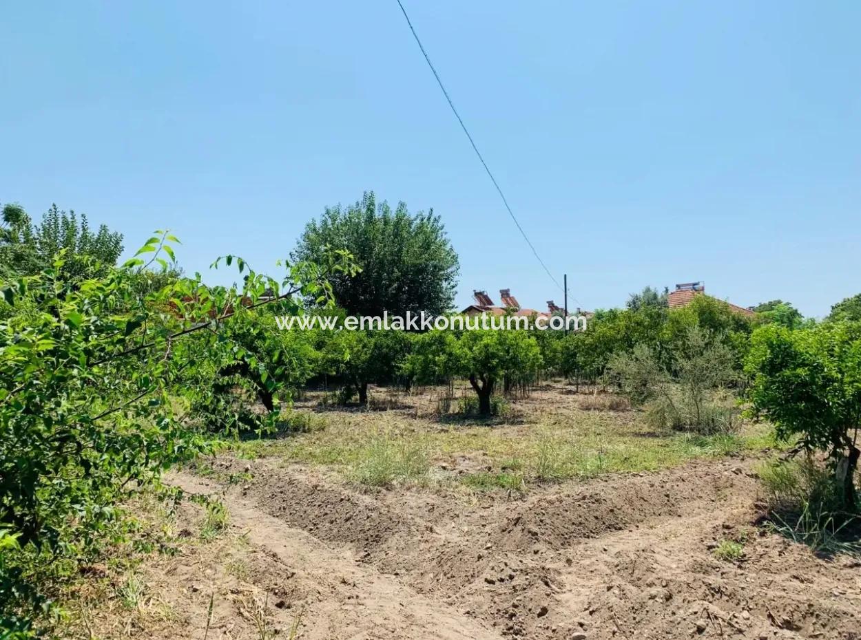Plot For Sale In Up