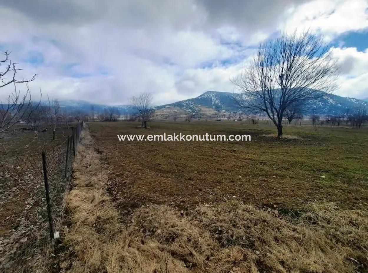 Denizli Çameli Belevi De 358 M2 Detached Deed Field Hobby Garden For Sale