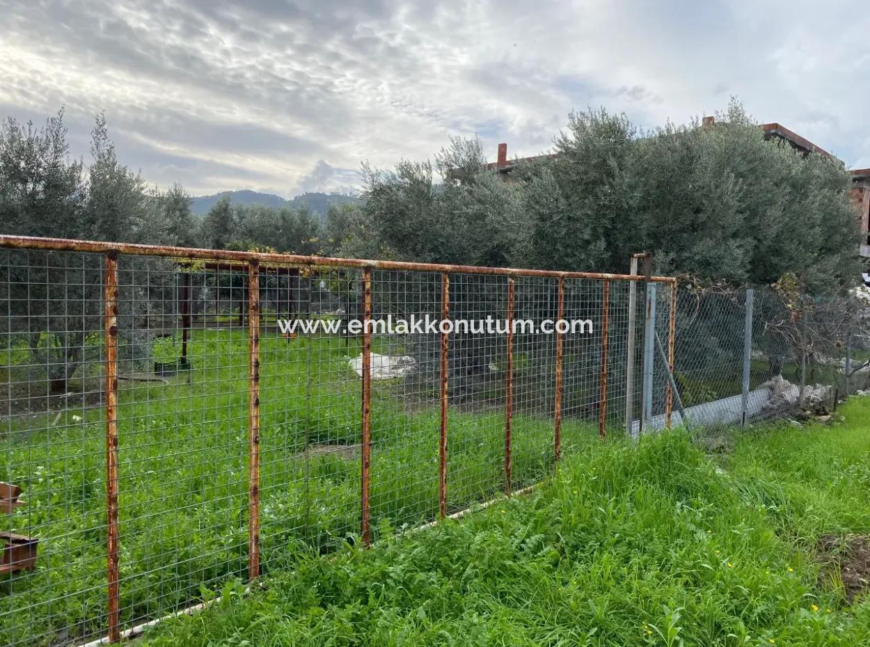 Muğla Ortaca Karaburun Mah 600 M2 Land For Sale