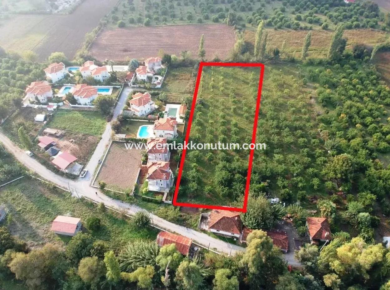 Muğla Ortaca Marmarlıda 4.000 M2 Lemon Garden 5 Years Rental