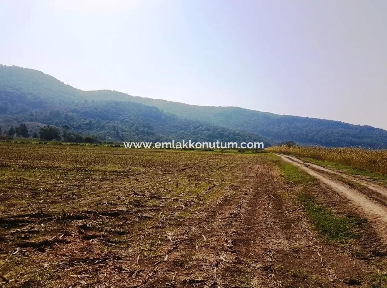 Region Of Fertile Land Rental