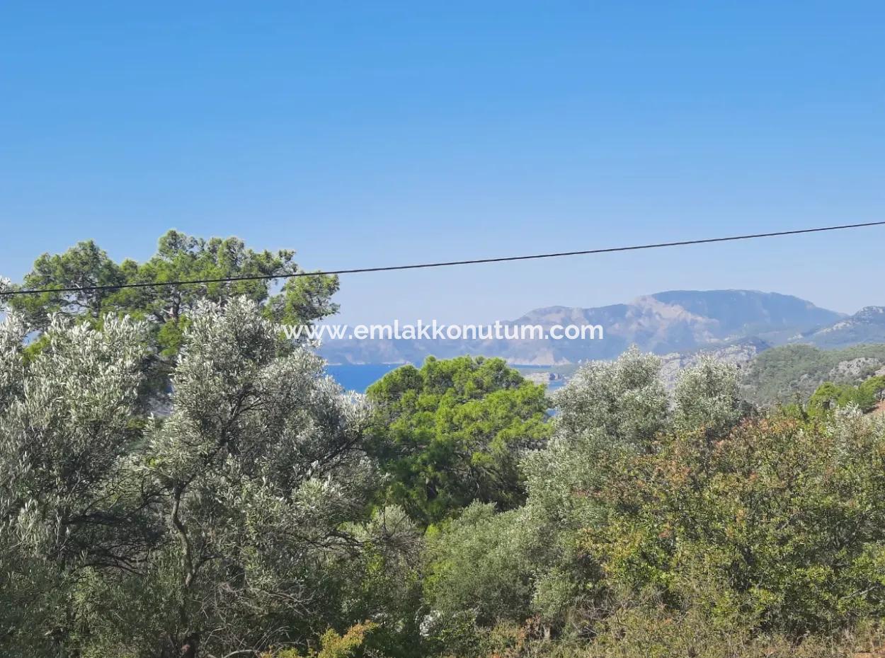 Muğla Gökbelde Lake And Sea View 6 000M2 Land For Sale