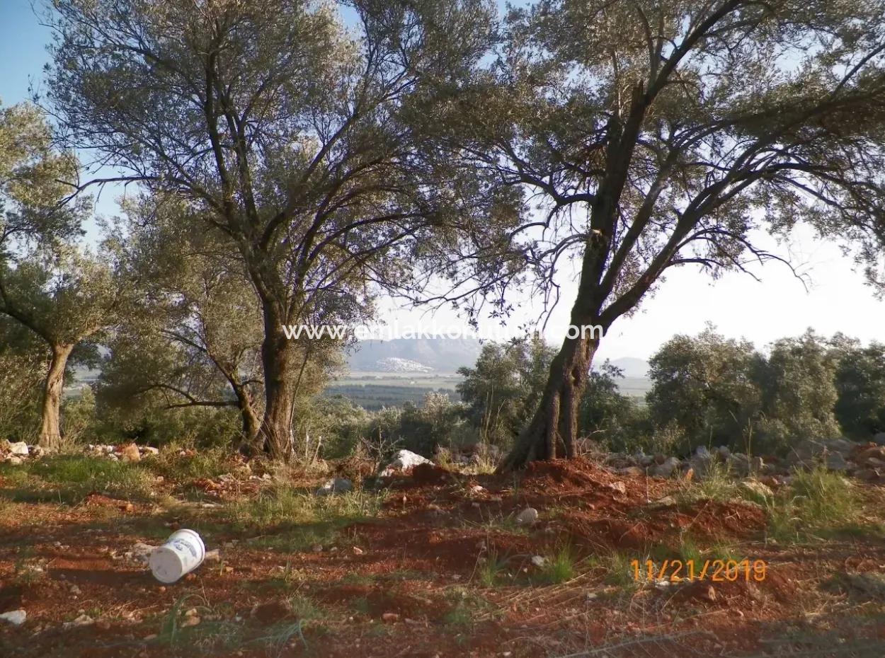 Fevziye Land For Sale With Sea View