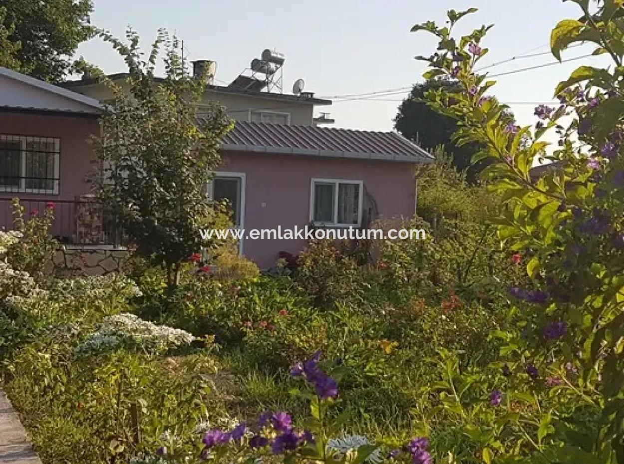 Prefabricated House For Sale In 1 200 M2 Land In Muğla, Ortaca, Okçular