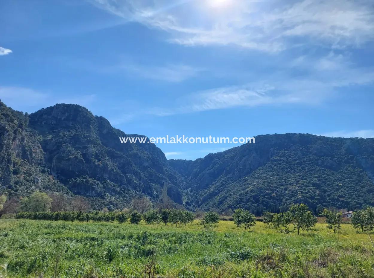 2 300 M2 Land Suitable For Investment In Ortaca Okçular Marmarlı For Sale