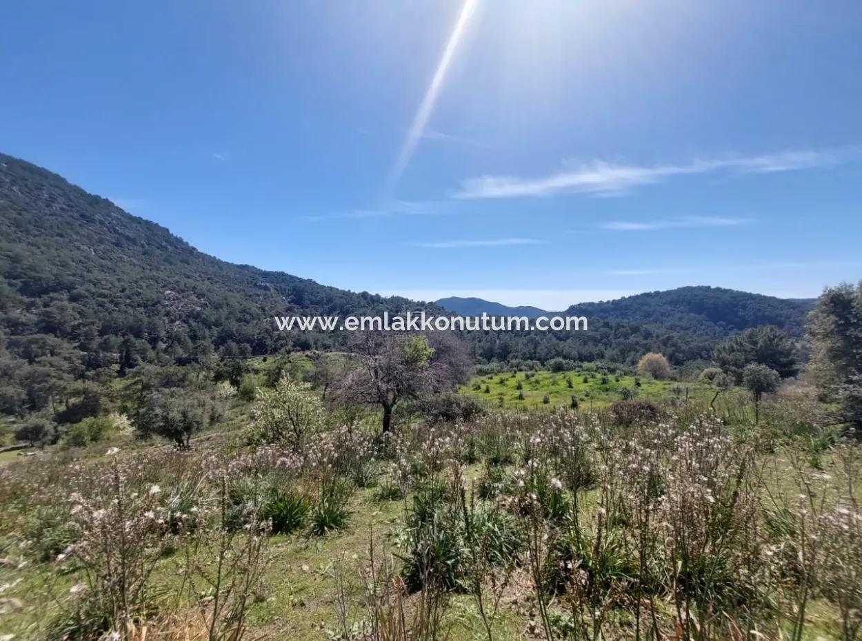 Ortaca Gökbelde Detached 12 132M2 Bargain Land In Nature For Sale