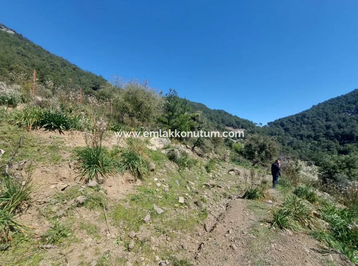 Ortaca Gökbelde Detached 12 132M2 Bargain Land In Nature For Sale