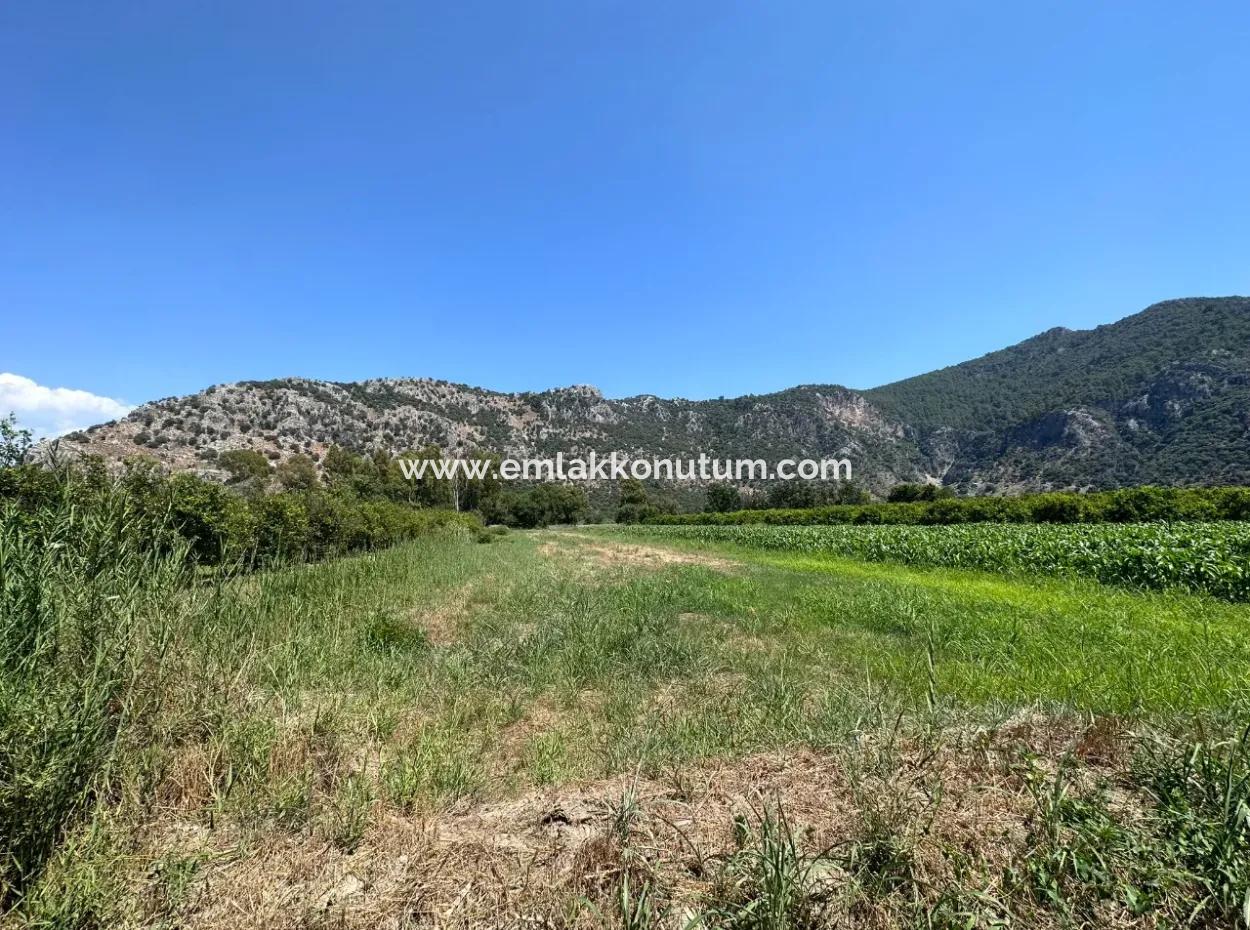 970 M2 Rızai Taksimli Share For Sale In Dalyan