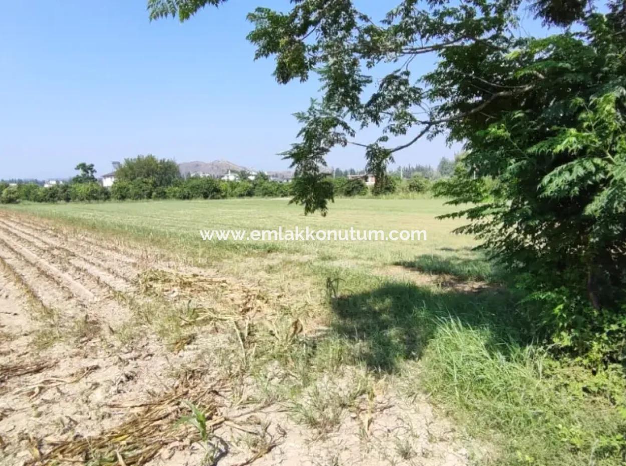 Rızai Taksimli 798 M2 Field For Sale In Muğla Ortaca Fevziye Neighborhood