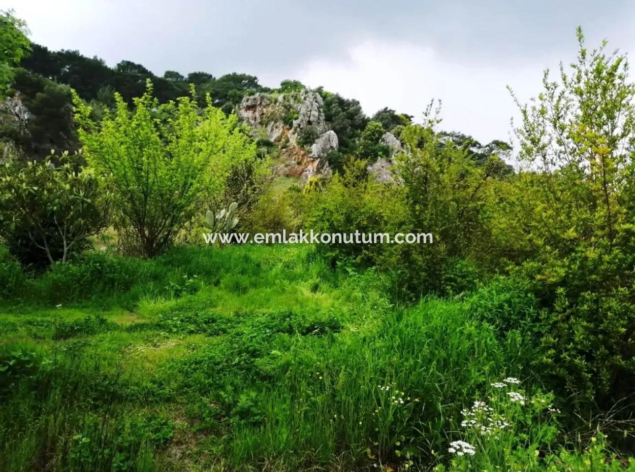 Güzelyurt For Sale Landscaped Gardens Pomegranate Ta