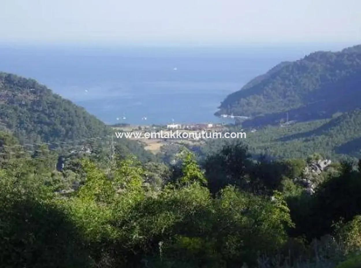 12.926 N2 Sea View Land For Sale In Köyceğiz Ekincik