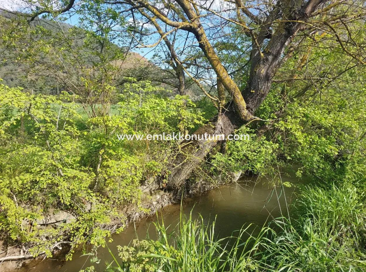 In Muğla Ortaca Eskiköy, 12.805 M2 Of Land With A Share Is For Sale.