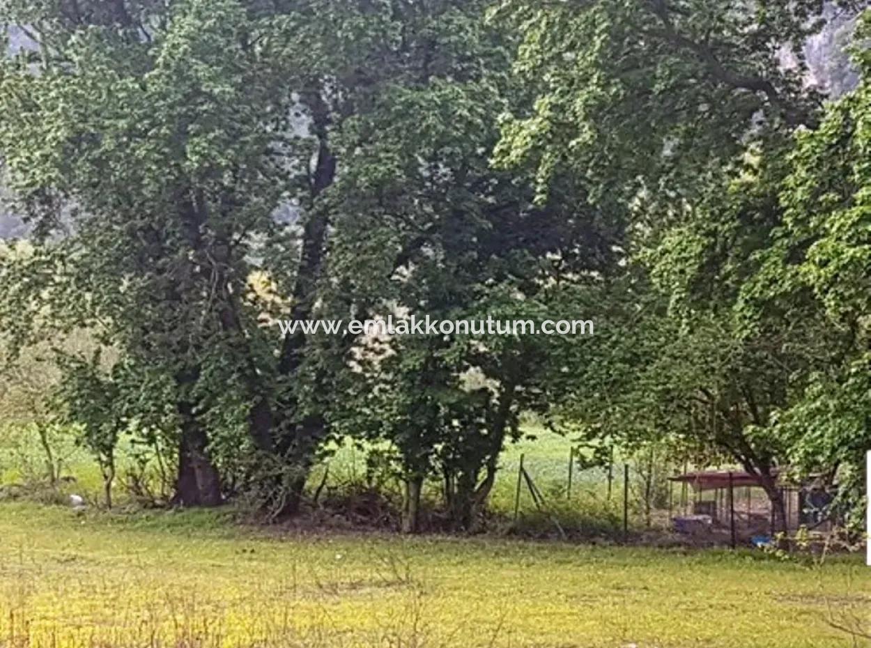 3 577 M2 Land Suitable For Zero Investment On Dalyan Main Road In Muğla Ortaca Okçular
