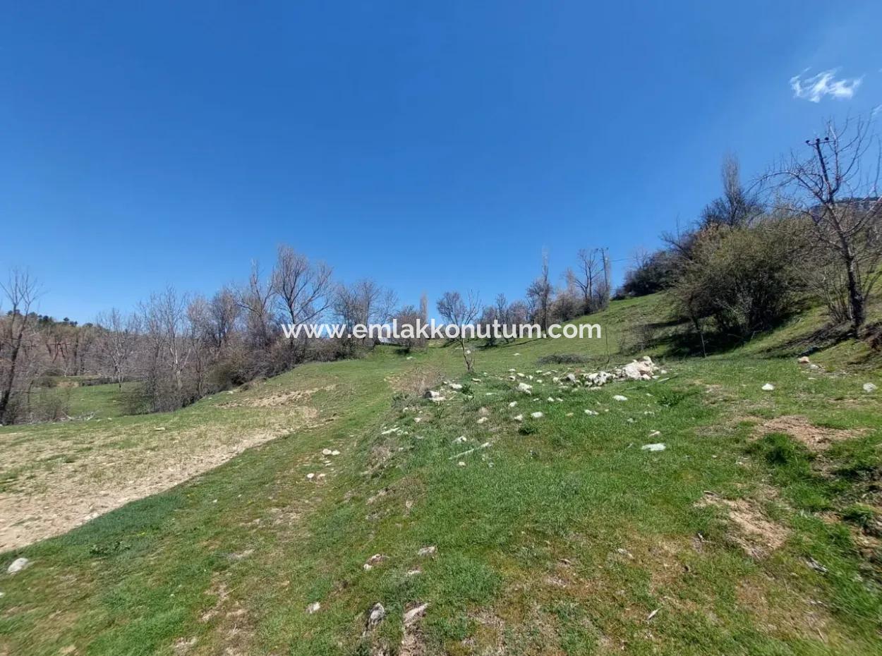 650 M2 Zoned Lands For Sale In Çameli Cevizli