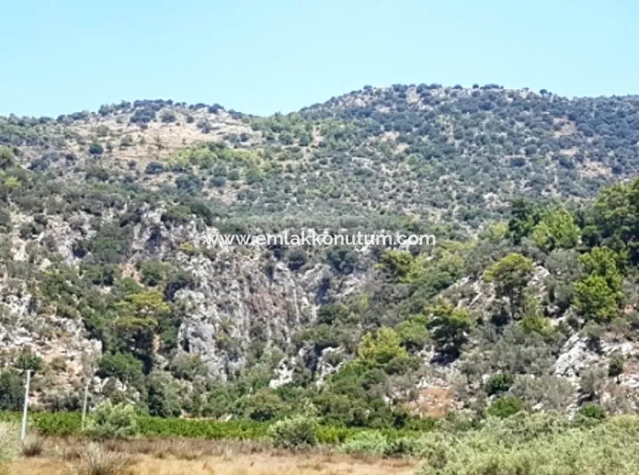 Sea View Land For Sale In Mugla Dalaman Kapıkargın