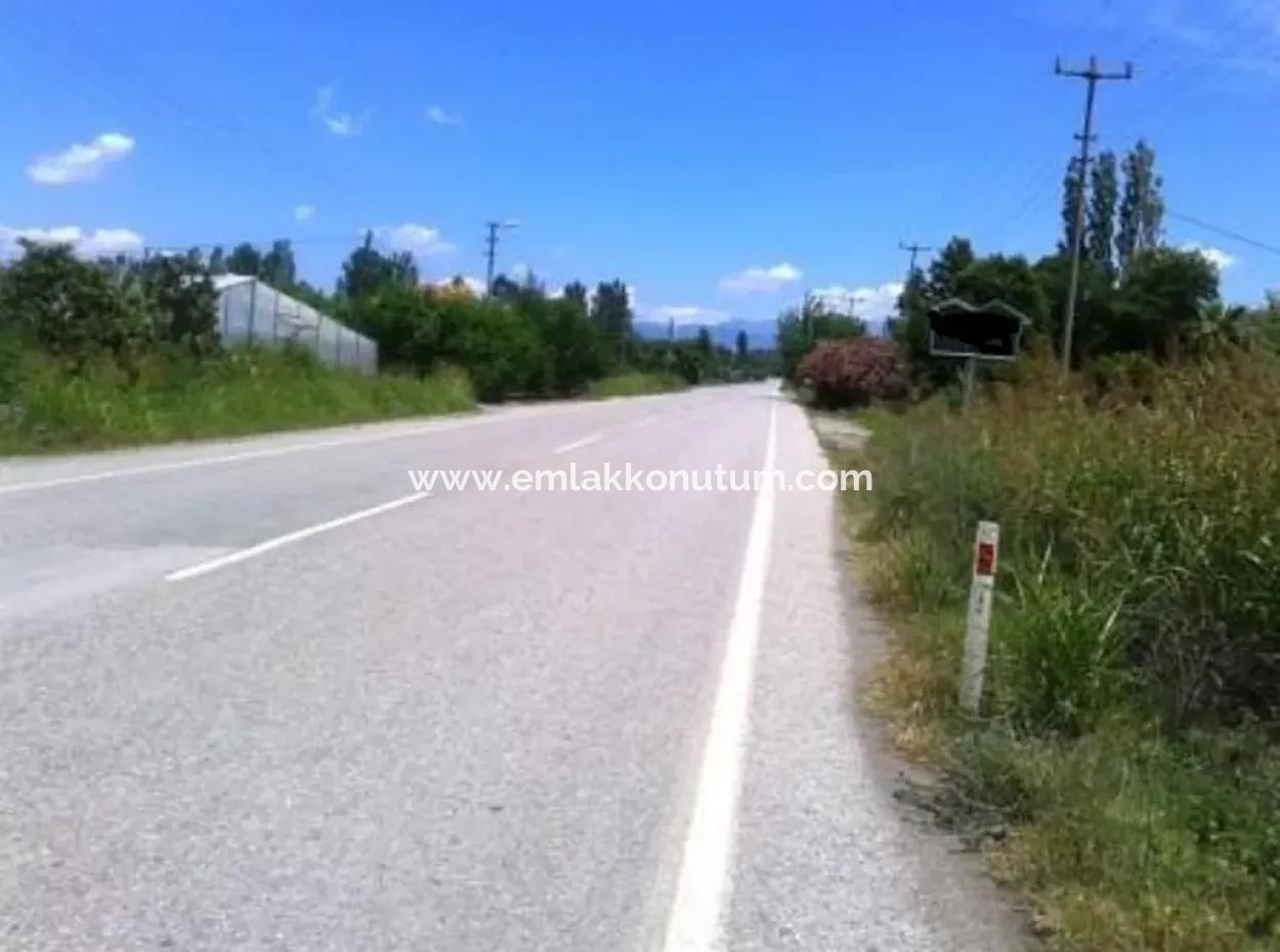 Oriya Land Near Main Road For Sale In Fethiye