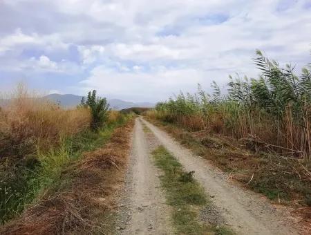 Fertile Land For Sale In Ortaca Eskiköy