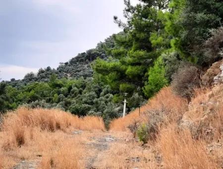 Plots With Sea View For Sale In Sarigerme Muğla