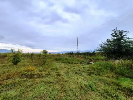 13250 M2 Detached Deed Bargain Land For Sale Between Ortaca Tepearasi