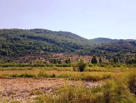 Fertile Bargain Land For Sale In Muğla Ortaca Güzelyurt