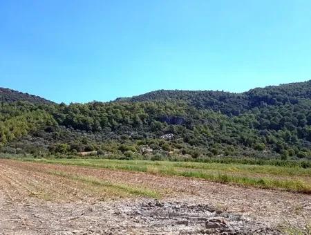 Fertile Bargain Land For Sale In Muğla Ortaca Güzelyurt