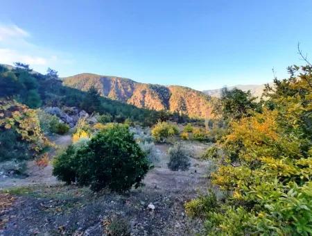 Mugla Dalaman Narli 1800 M2 Bargain Land For Sale