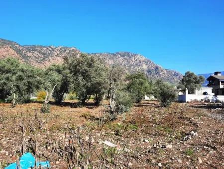 2,000 M2 Kelepir Detached Zoning Land For Sale In Köyceğinz Topars