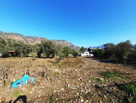 2,000 M2 Kelepir Detached Zoning Land For Sale In Köyceğinz Topars