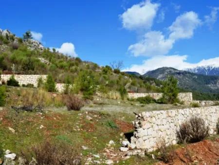 Zoning Land For Sale In Fethiye Grapes Kizilbel