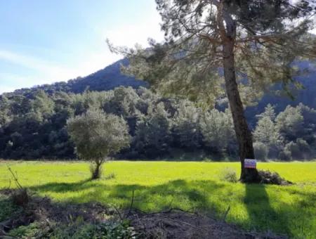 Mergenli For Sale In Ortaca Mountain Zero-Investment A Bargain Suitable Land